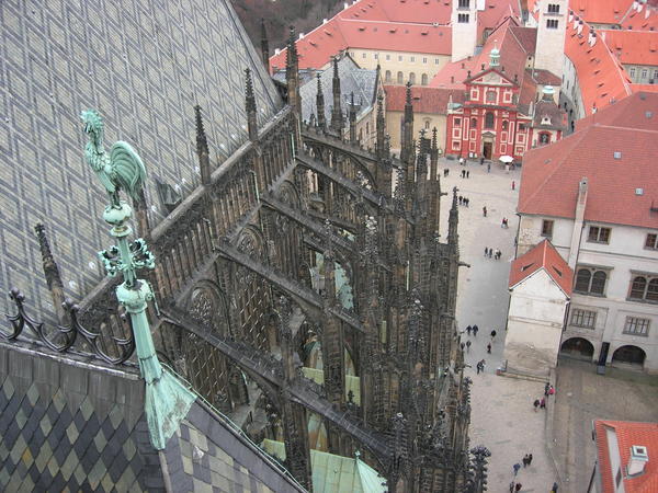 Cathedral looking down