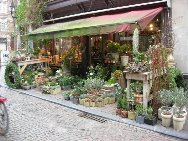 Garden shop