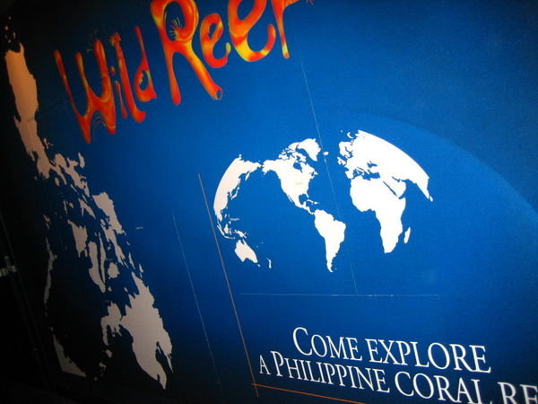 I'm so proud of our Philippine Reefs
