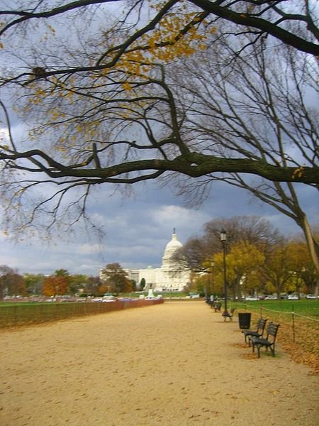The long walk to the Capitol
