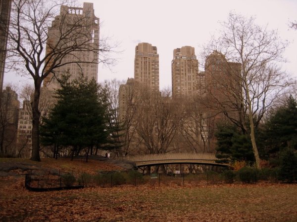 At Central Park
