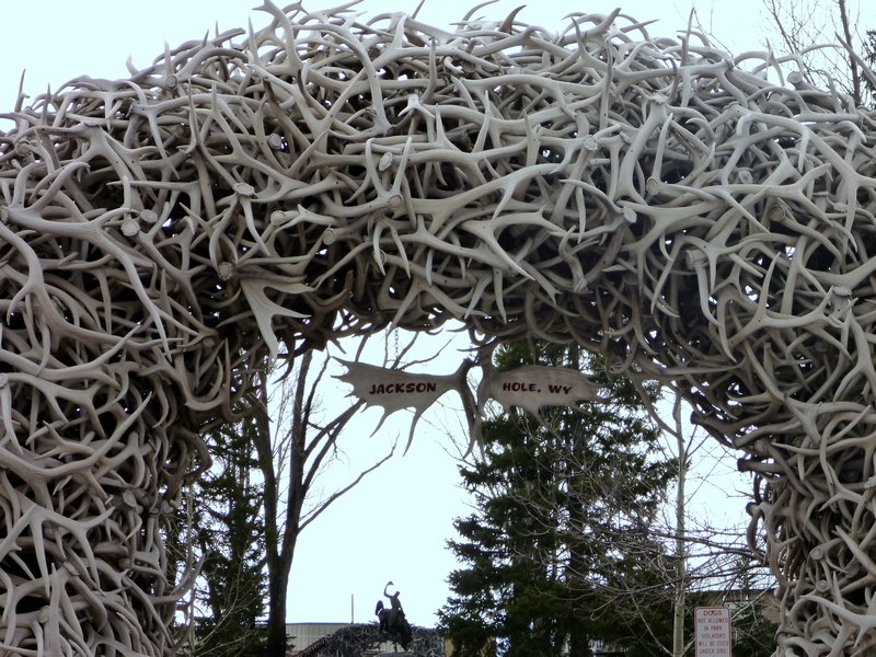 The Arch of Antlers