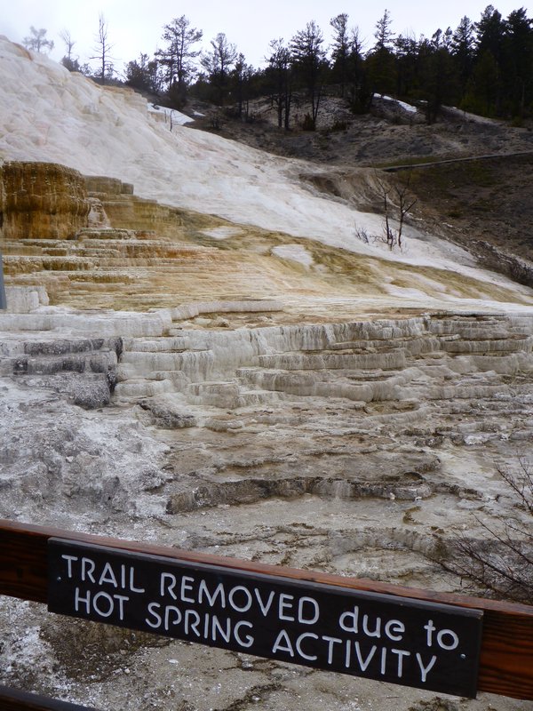 Ever-changing landscape at Mammoth Hot Spring Terraces