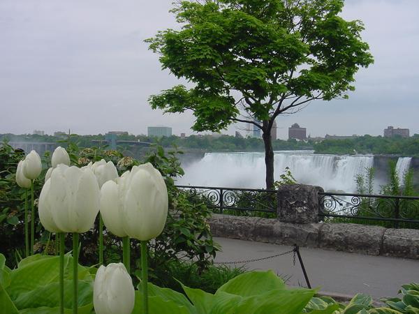 Niagara Falls in Spring
