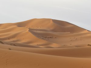 Morning sand dune shot