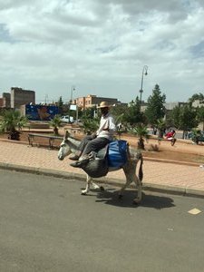Man on donkey