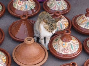Kitty and tagines in the medina