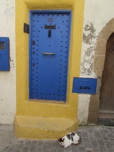 Essaouira medina door