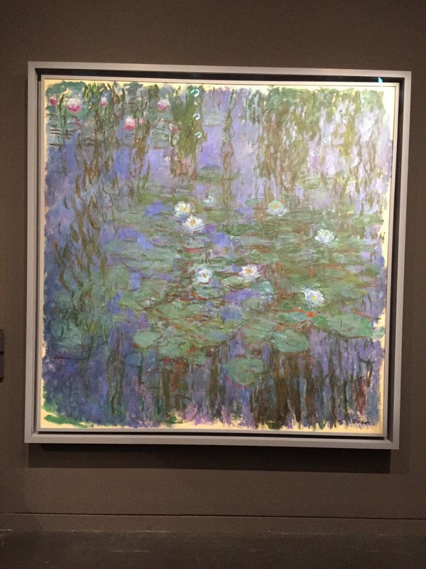 Monet’s Water Lillies