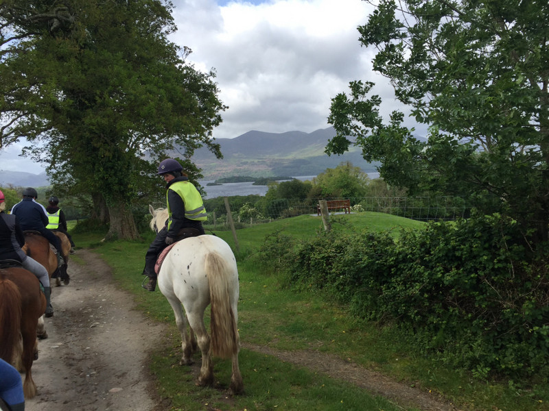 Horseback riding in Killarney National Park