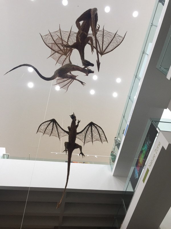 Ulster Museum - the GOT dragons