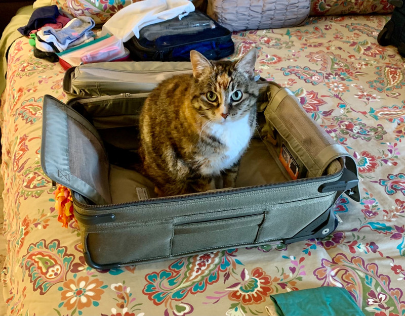 Ella is all set for the trip!