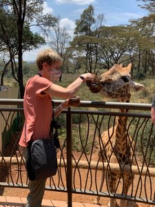 Me feeding a giraffe