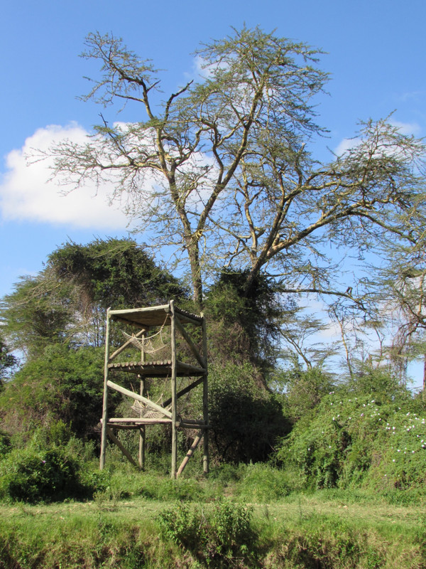 Climbing structure at the sanctuary