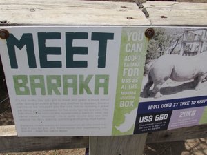 Baraka’s enclosure