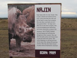 Information sign about Najin