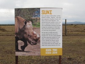 Information sign on Suni