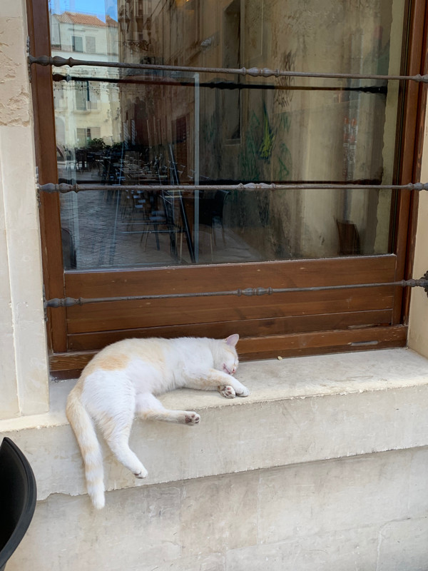 Lecce kitty