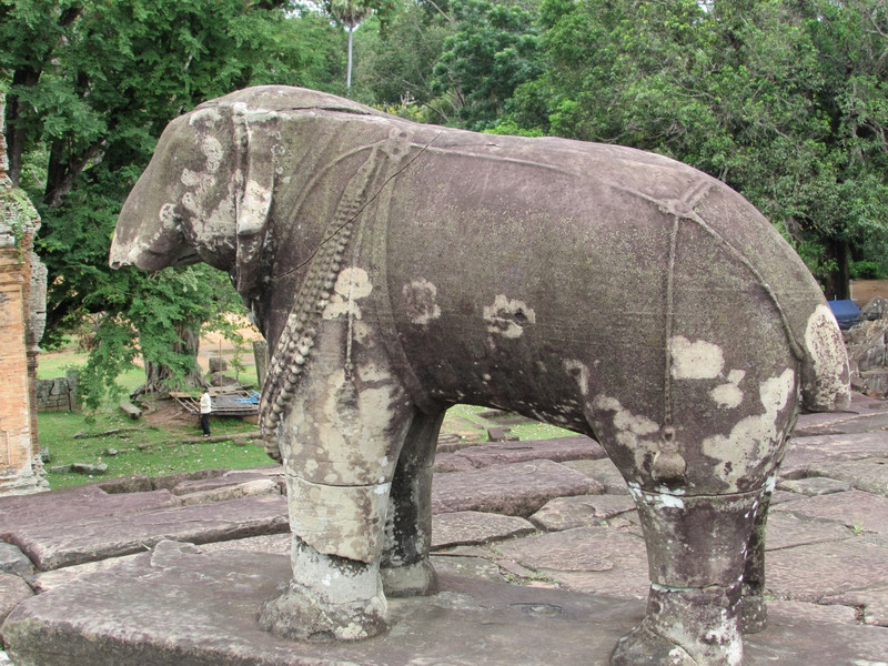 Bakong elephant