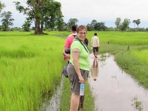 Walking in the Rice Fields