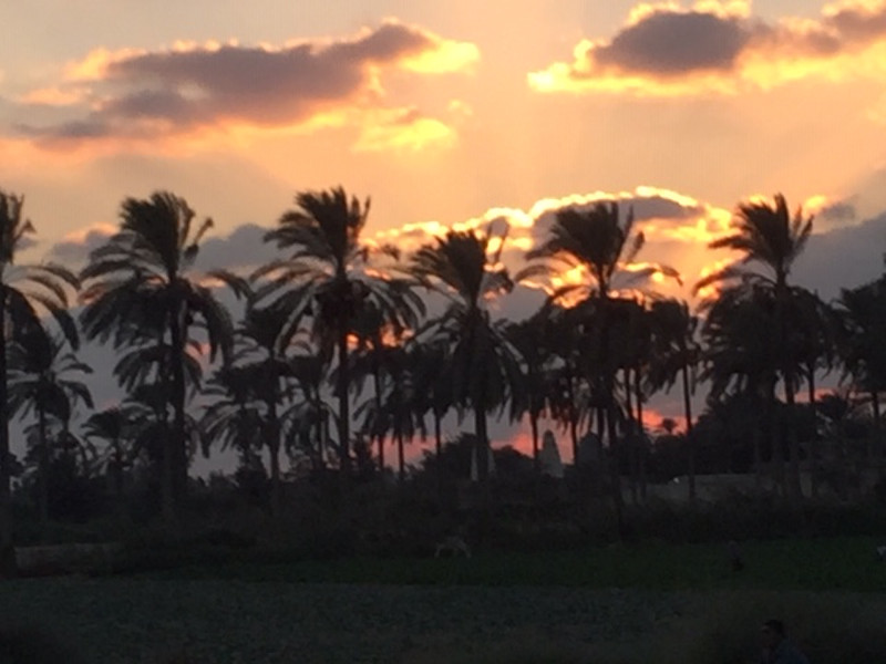 Sunset on the drive back to Cairo