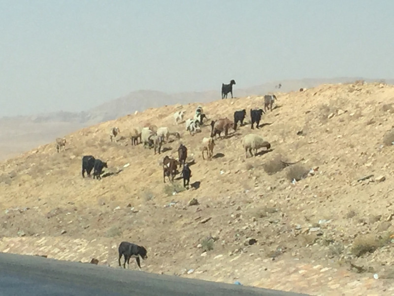 Desert Highway scenes 