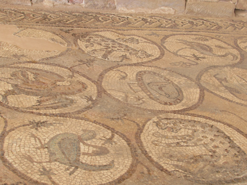 Petra Church mosaics 