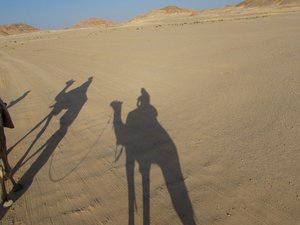 Our camel shadows!