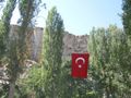 Turks love their flag