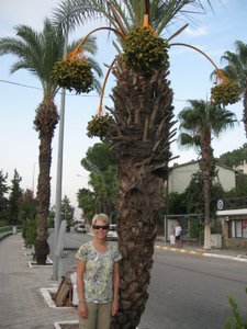 Lori with date palm in Fethiye