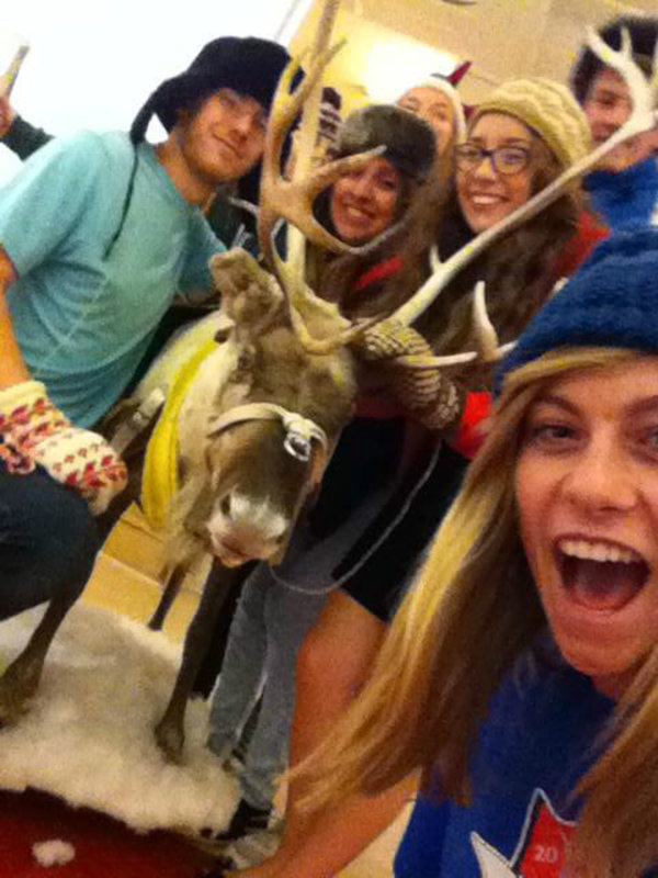Reindeer selfie