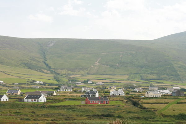 Irish Countryside