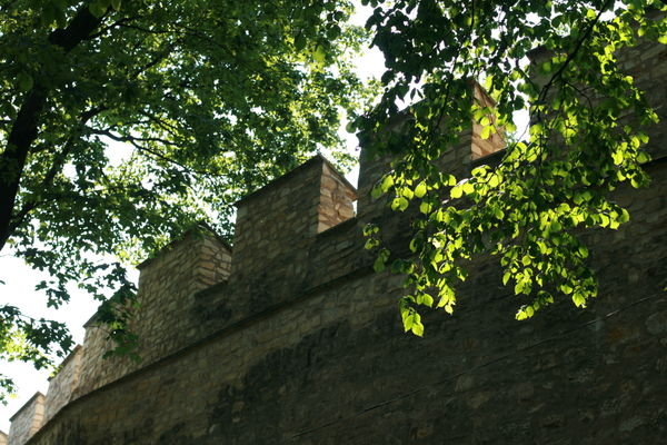 Castle Wall in the Petrin Park