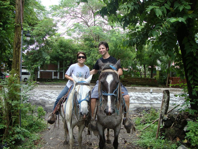 Horses on Ometepe