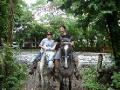 Horses on Ometepe