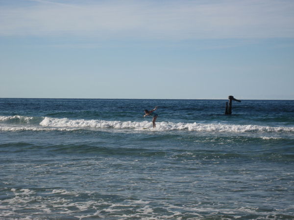 Aoilo Surfing