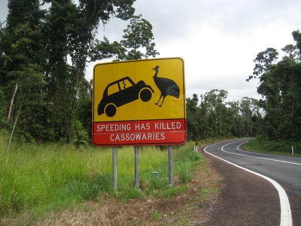 Mission Beach - Cassowary Sign