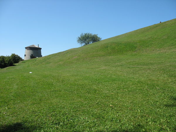 The hill