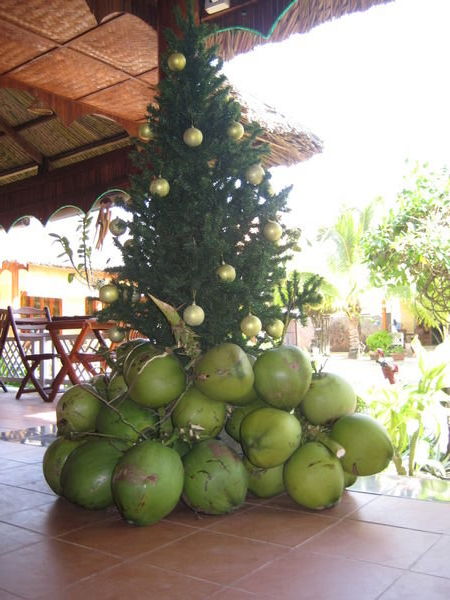 coconut christmas