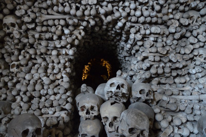 Skulls and bones