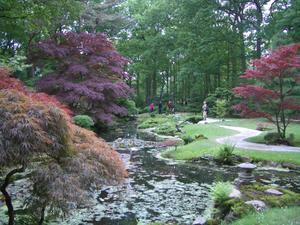 Japanese Gardens at the Clingandael