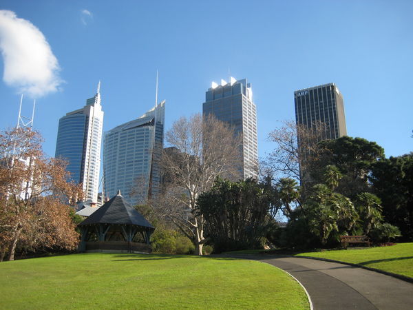 Botanical gardens & Central Sydney