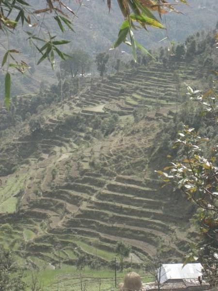 Most farmland in Nepal are se like stairs since the country is so mountainous