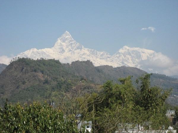 Stunning view of the Himalayas from my guesthouse