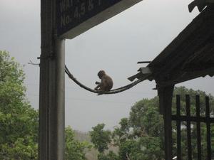 Monkeying aroung (train station)