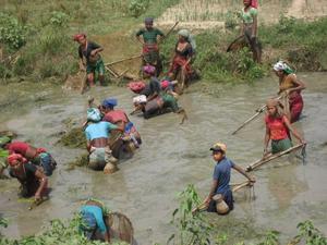 women work hard in Nepal