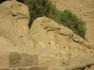 Sphinx lined path of the Temples of Karnak