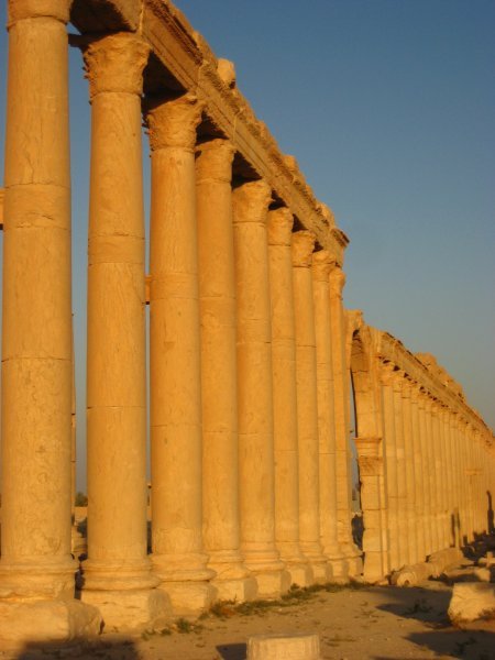 Palmyra (5)