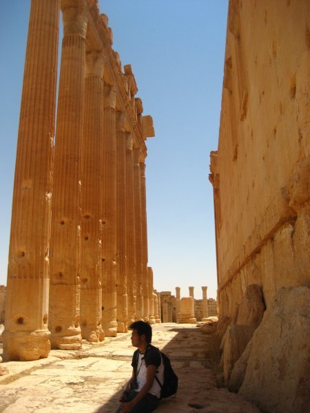 Palmyra (24)