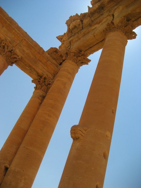 Palmyra (25)